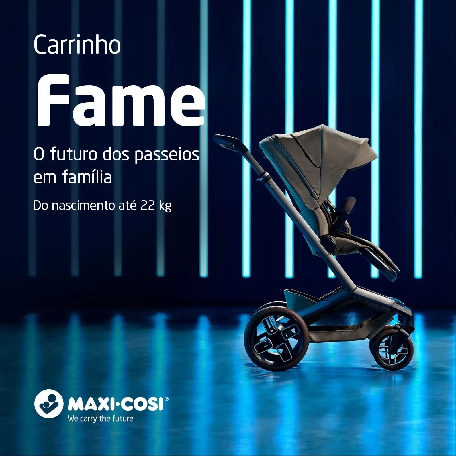 Carrinho Fame Maxi Cosi - 2