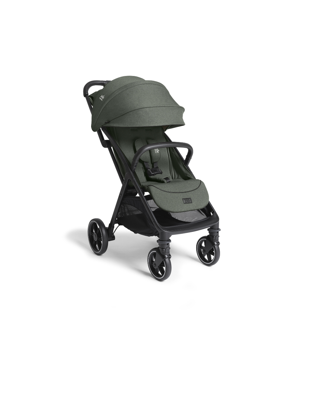 Verde Evergreen