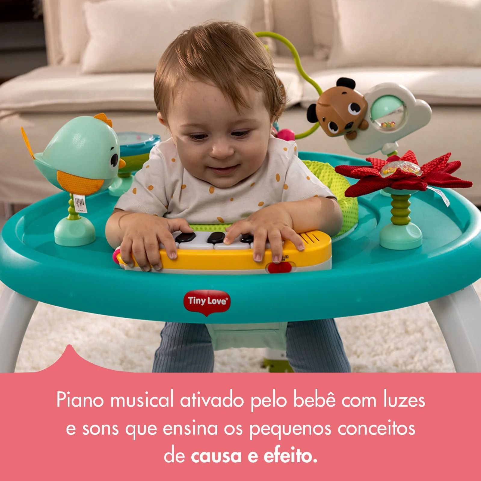 +10 fotos